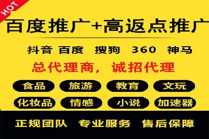 竞价广告的投放策略与网络推广的实践案例